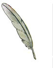 Feather Feather Feather Feather สุดยอดไอเท็มเสริมของขวัญสุดคลาสสิกผ่านรูปแกะสลัก